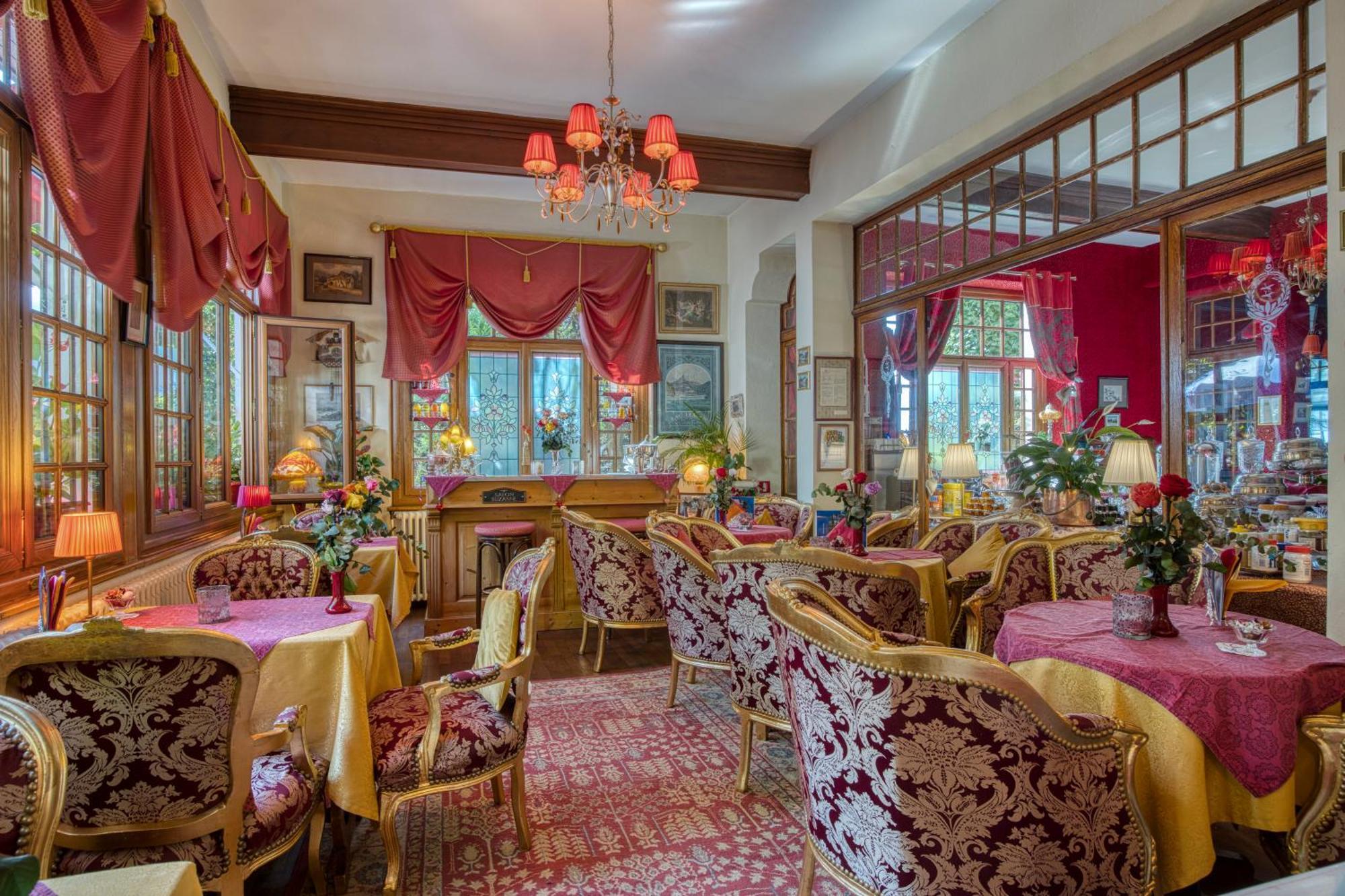 Hotel Les Cygnes Évian-les-Bains Zewnętrze zdjęcie