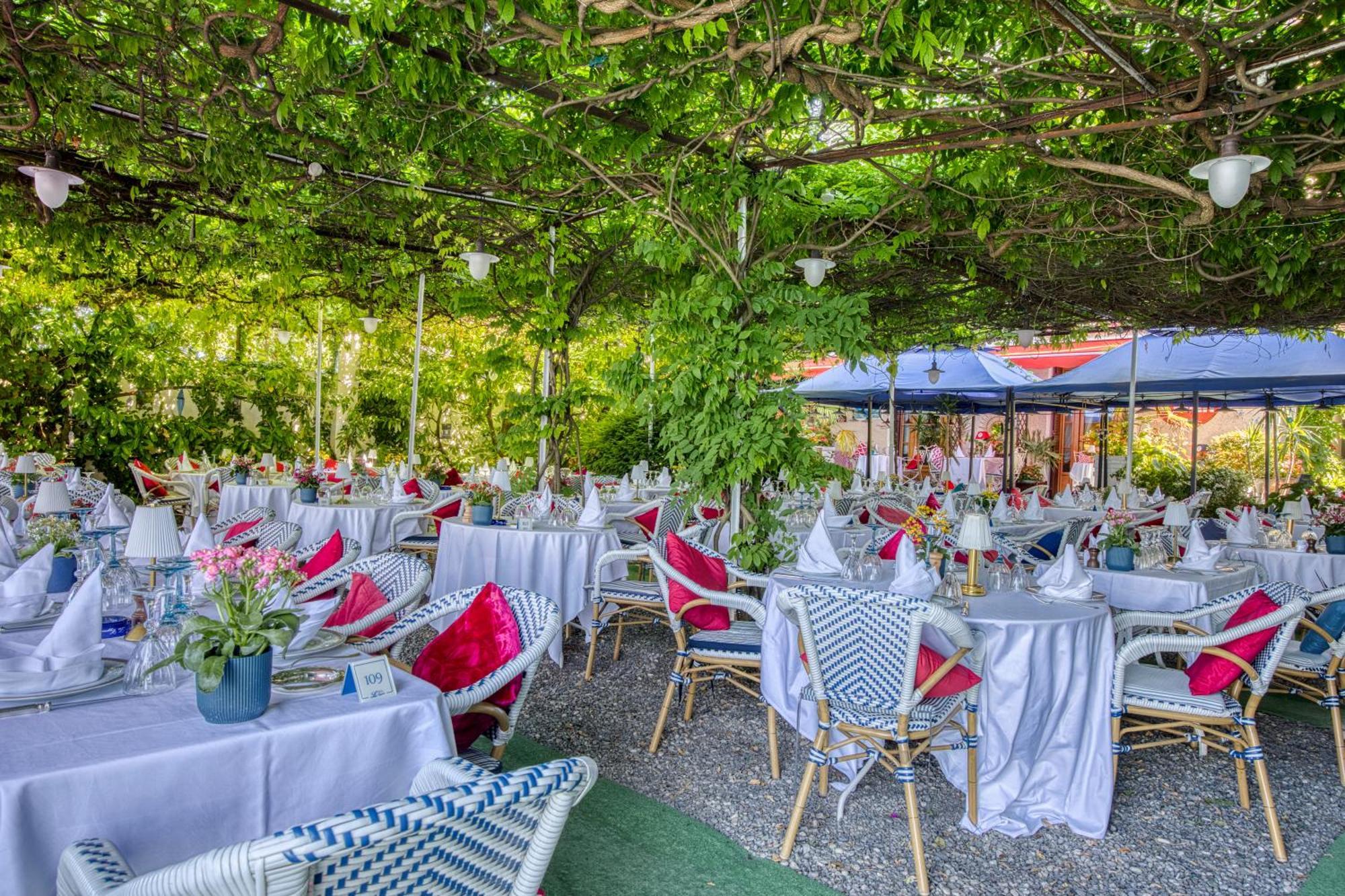 Hotel Les Cygnes Évian-les-Bains Zewnętrze zdjęcie