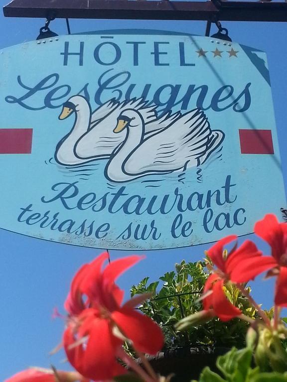 Hotel Les Cygnes Évian-les-Bains Zewnętrze zdjęcie